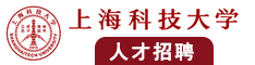 女人被男人躁得好爽免费高清视频