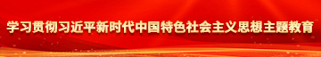 大奶骚逼被艹喷水视频学习贯彻习近平新时代中国特色社会主义思想主题教育